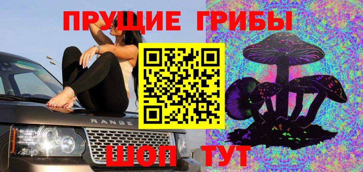 Псилоцибиновые грибы GOLDEN TEACHER Саров
