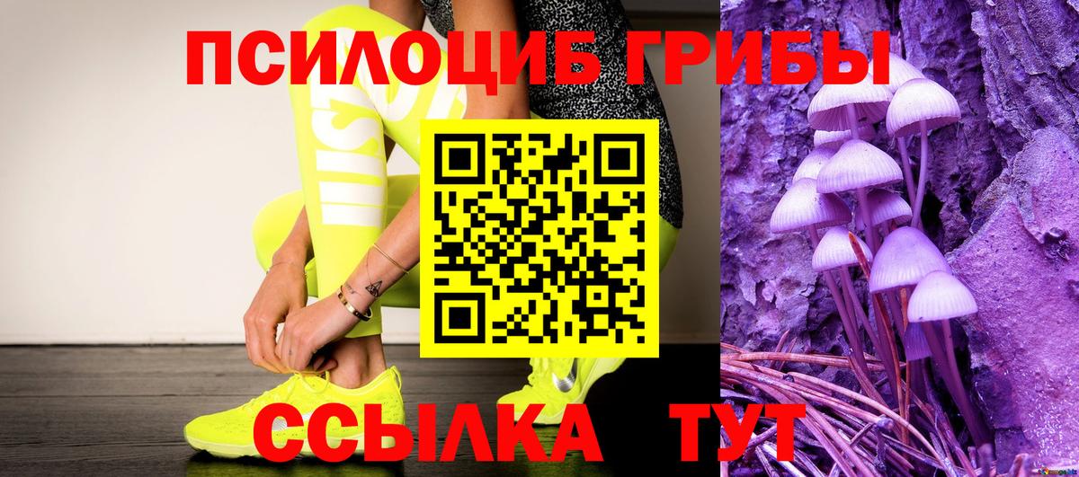 Саров  Галлюциногенные грибы ЛСД  Вход с VPN 